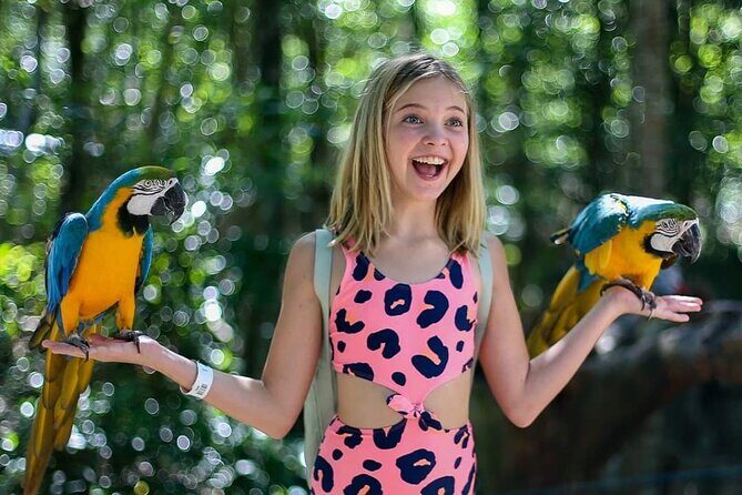 Akumal Monkey Sanctuary - Where Akumal Monkey Sanctuary Lands in Your Playa del Carmen Trip