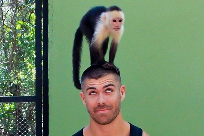 Akumal Monkey Sanctuary - Price and Transfers: Does $95 Feel Like a Deal?