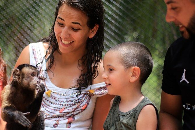 Akumal Monkey Sanctuary - Comfort Tips That Actually Matter in Quintana Roo Heat