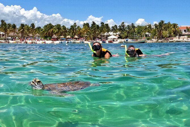 Akumal; Snorkeling and Photos with Turtles - Key Highlights Before You Go