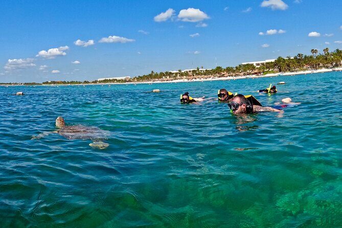 Akumal; Snorkeling and Photos with Turtles - The Snorkel Session: Turtles, Stingrays, and Learning the Rules