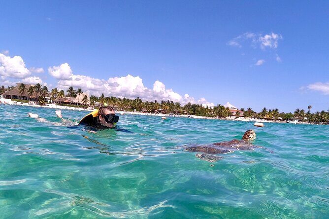 Akumal; Snorkeling and Photos with Turtles - Facilities and the Bracelet: Bathrooms Are Included, but You Need the Pass