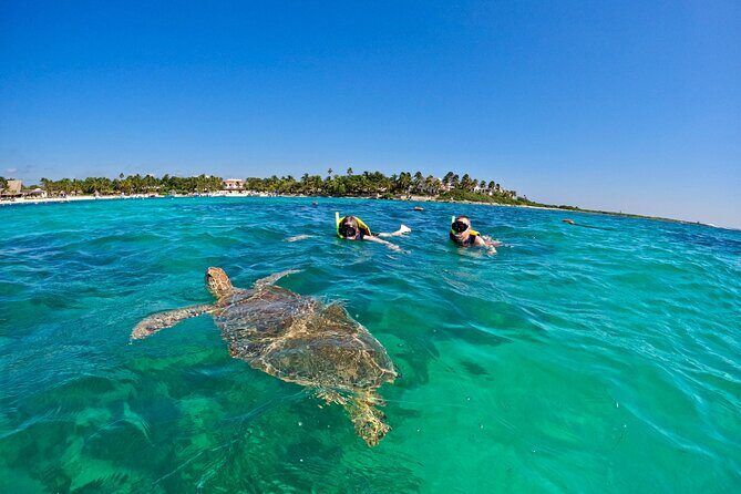 Akumal; Snorkeling with The Sea Turtles - Akumal turtle snorkeling in protected waters: what makes it special
