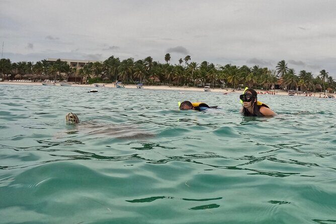 Akumal; Snorkeling with The Sea Turtles - Swim day comfort: showers, changing, and lockers you can plan around