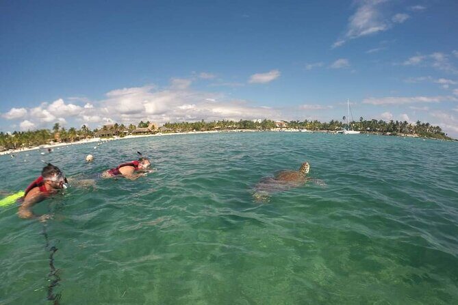 Akumal turtles sanctuary and go pro photos - Where You Meet, What You Get First, and Why It Matters