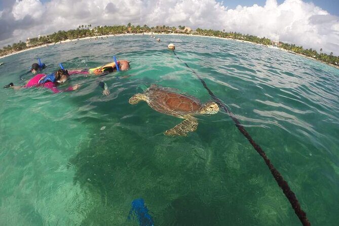 Akumal turtles sanctuary and go pro photos - The Part You’ll Care About Twice: Underwater Photo and GoPro-Style Results