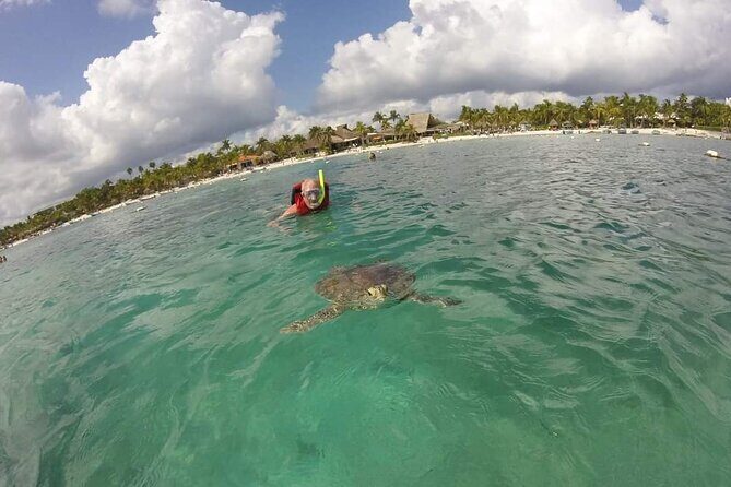 Akumal turtles sanctuary and go pro photos - Price and Value in Playa del Carmen: What $40 Really Buys You