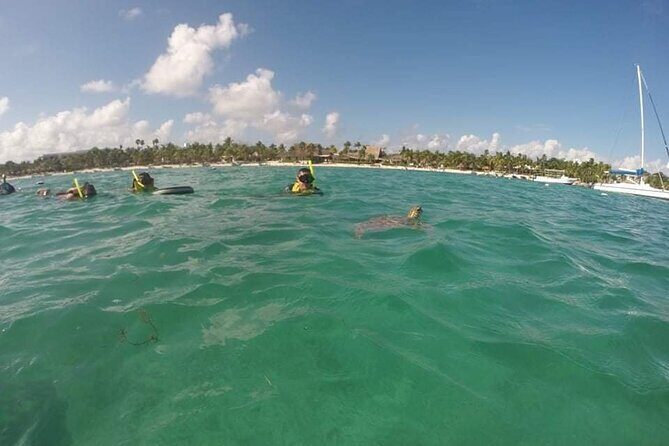 Akumal turtles sanctuary and go pro photos - Who This Tour Fits Best (and Who Might Want a Different Style)