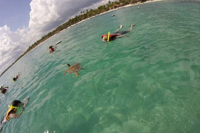 Akumal turtles sanctuary and go pro photos - Should You Book This Akumal Turtle Snorkel With GoPro Photos?