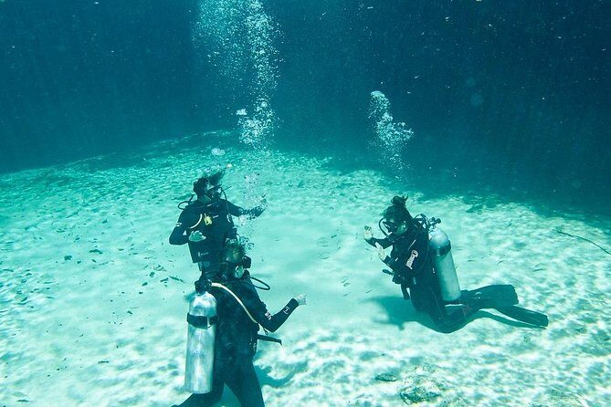 Amazing beginner dive in Tulum cenote (or refresher dive) - The short transfer to Casa Cenote: quick, comfortable, and focused