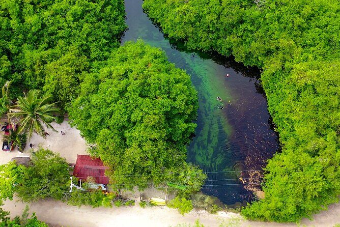 Amazing beginner dive in Tulum cenote (or refresher dive) - Safety and instructor attention in a group of four