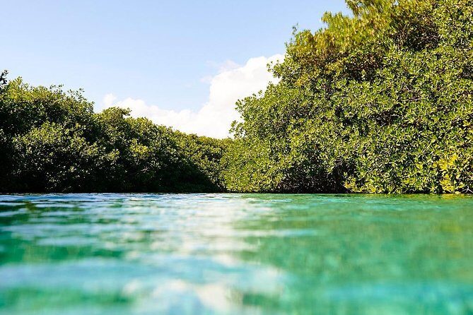 Amazing beginner dive in Tulum cenote (or refresher dive) - Price check: is $140 worth it for what you actually get?