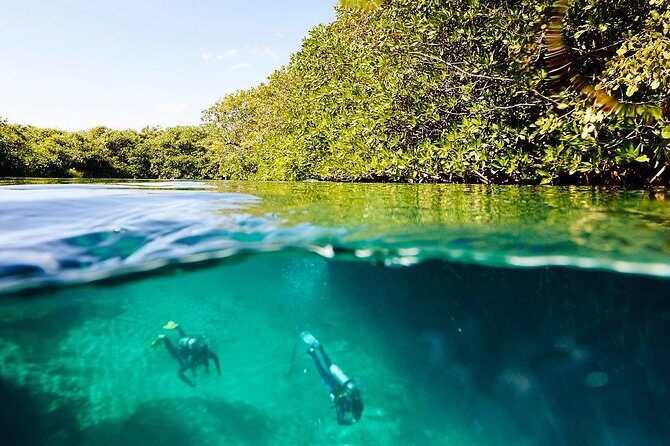 Amazing beginner dive in Tulum cenote (or refresher dive) - Who this is best for (and who should rethink it)
