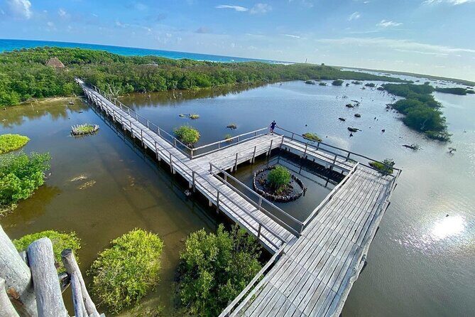Amazing Jeep Tour Visit Punta Sur Park and San Gervasio Ruins - A Short Jeep Day That Hits Cozumel’s South Fast