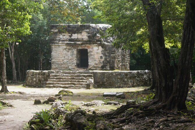 Amazing Jeep Tour Visit Punta Sur Park and San Gervasio Ruins - Playa San Martin Break and Lunch on the Beach