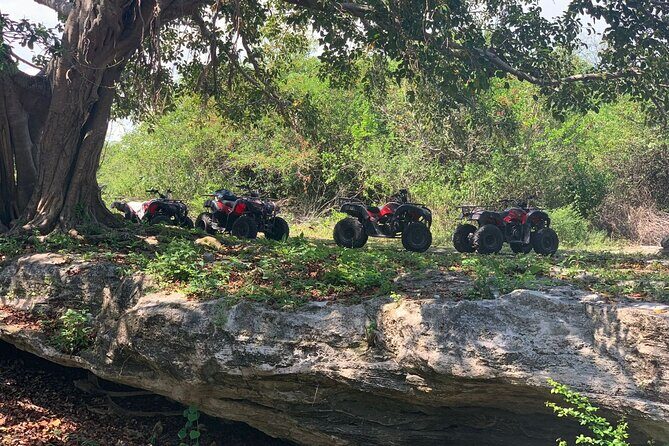 ATV Jungle Adventure to Hidden Mayan Ruins and Caves - The 45-minute ATV ride to caves and Mayan ruins