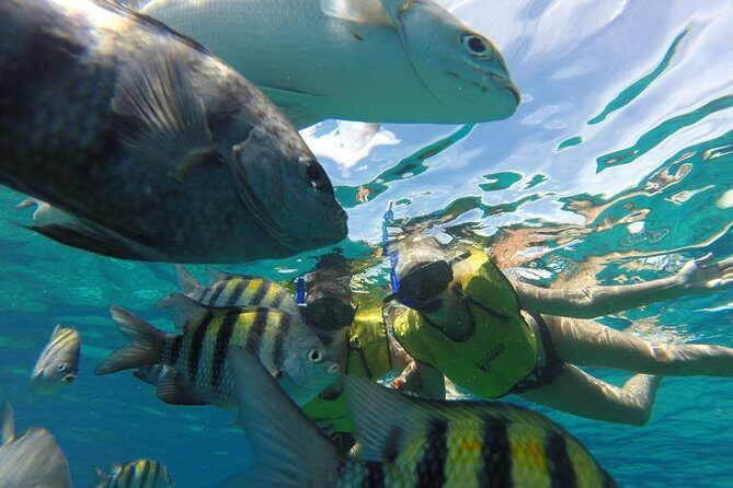ATV Mud Kicking and Snorkeling by Boat in Cozumel - Price and logistics: what $99.99 really gets you