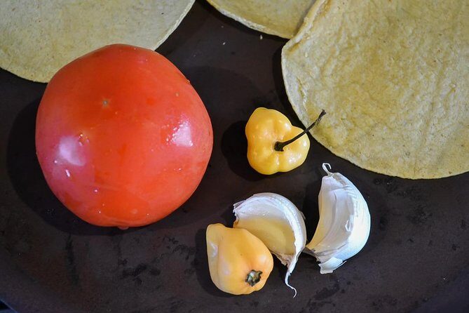 Authentic Mexican Cooking Class in Playa del Carmen - Price and value: why $120 feels fair here