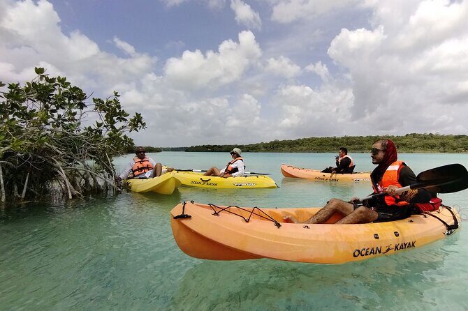 Bacalar Lagoon! Kayaks & Cenote Azul From Playa Del Carmen - Why Bacalar Lagoon Works as a Day Trip From Playa del Carmen