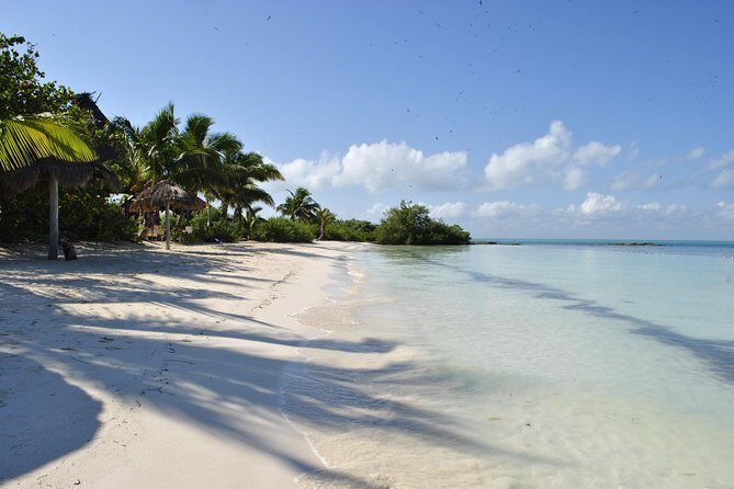 Beach Escape: Isla Contoy and Isla Mujeres with Snorkeling. - Starting at 6 a.m.: Flamingos, Snack, and the Marine-Reserve Mindset