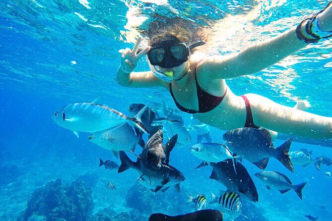 Best Cozumel Day Pass San Francisco Beach Club - Weather and Wind: The Biggest Factor in Your Day Pass
