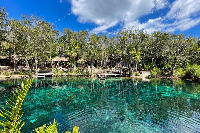 Bestseller! Tulum Private Tour with Turtles and Cenote Snorkeling - Akumal Beach Turtle Snorkeling From Shore (Calm Water, Real Marine Life)
