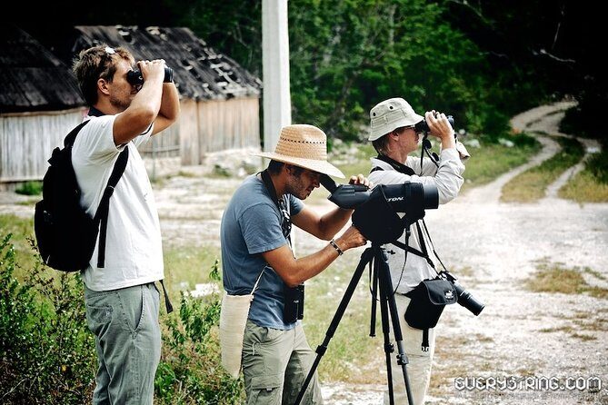 Bird Watching in Sian Ka´an Muyil - Price and value at $119: what’s included, what costs extra, and what to do