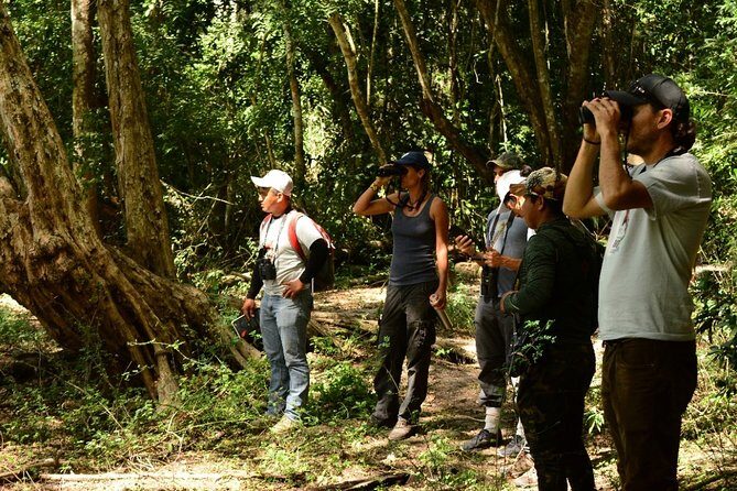 Birdwatching in Coba from Tulum - Shared Group Tour - Stop 1 in Tulum: quick start, quick fuel