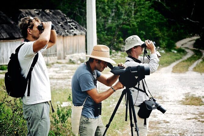 Birdwatching in Sian Ka´an Muyil from Tulum - Shared Group Tour - Why Muyil and Sian Ka’an make birding work at first light