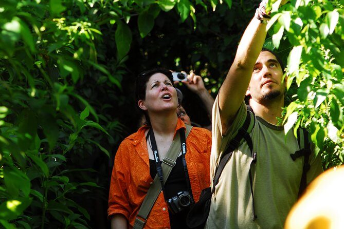 Birdwatching in Sian Ka´an Muyil from Tulum - Shared Group Tour - Walking the Muyil archaeological entrance to Sian Ka’an