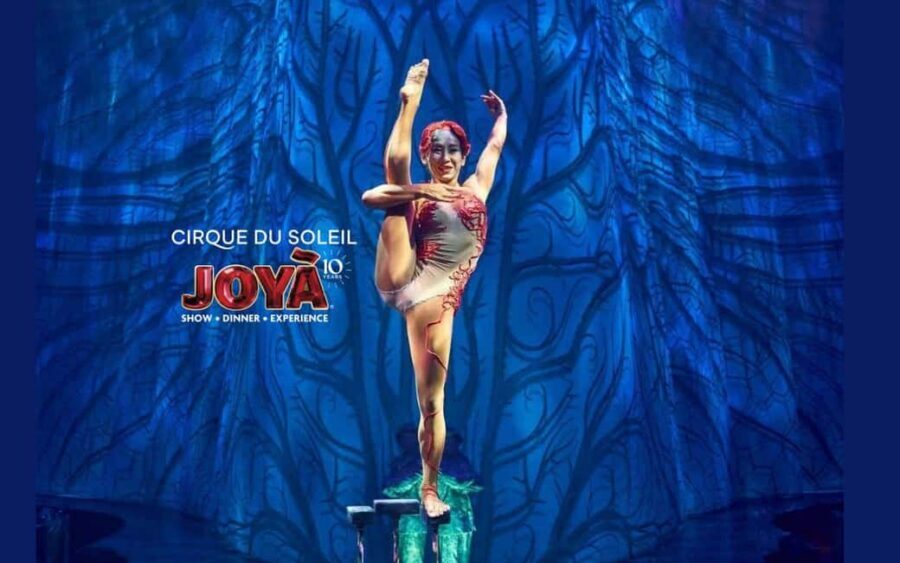 Cancún: Cirque du Soleil JOYÀ Ticket - Key things worth knowing before you go