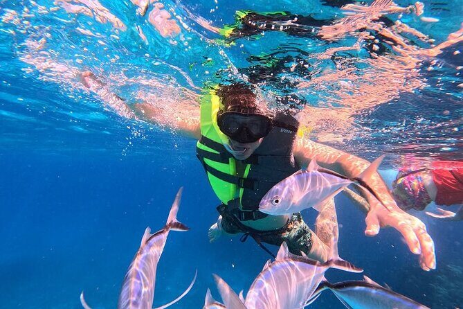 Catamaran in Cozumel with snorkeling at El Cielo and open Bar - Open bar and the +18 rule (so you don’t get surprised)