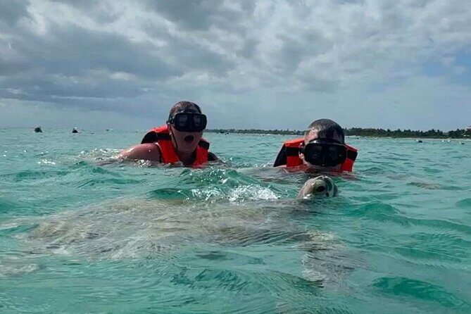 Cenote and Swimming with Turtles Private Tour in Akumal - Akumal + Cenotes: Why This Combo Works