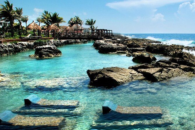 Cenote Cavern Tour and Swim with Sea Turtles in Akumal - Who Should Book This Cenote + Sea Turtle Tour