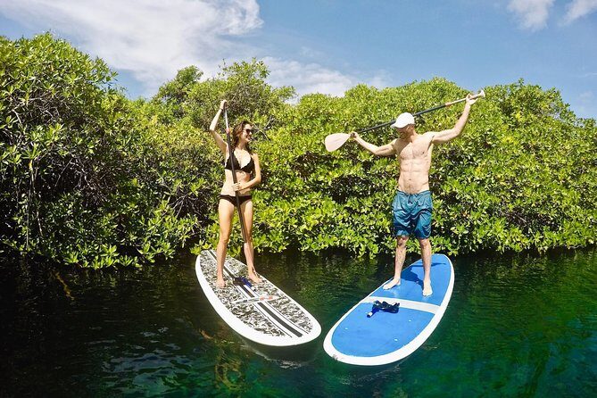 Cenote Paddleboarding and Snorkeling in Tulum - Lunch tacos after the water: simple, included, and timed right