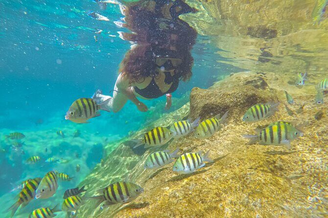 Cenote; Snorkeling and Photos with Colorful Fish - Martín and Melqui guide style: calm, small-group snorkeling with fish-spotting