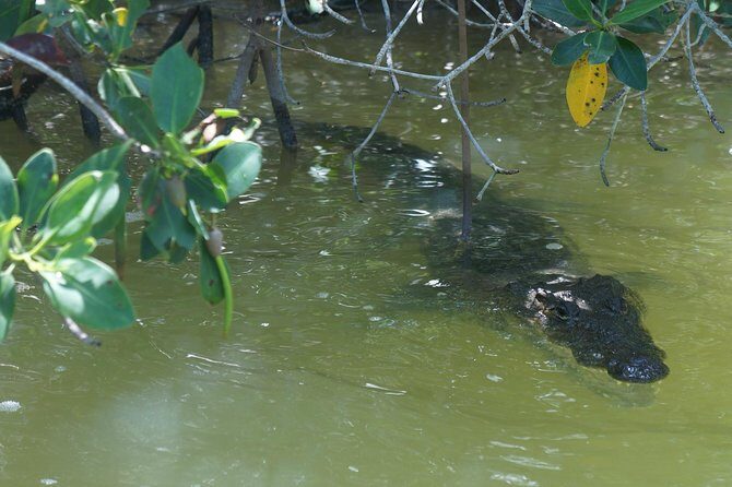 Cenote Suytun & Rio Lagartos & Las Coloradas - Who this tour fits best
