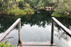 Cenote Triple Adventure Tour in Tulum - Price and logistics: what you’re really paying for at $129.88