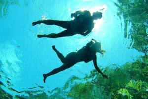 Cenotes Private Tour VIP - Pickup, timing, and how to plan your morning