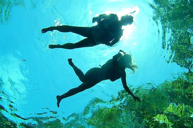 Cenotes Private Tour VIP - Pickup, timing, and how to plan your morning