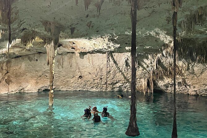 Cenotes Taak Bi Ha & Nicte Ha – VIP Snorkeling Private Tour - Parque Dos Ojos Area: Lunch in the Jungle After the Swim