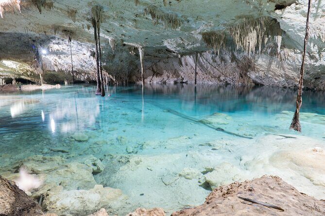 Cenotes Taak Bi Ha & Nicte Ha – VIP Snorkeling Private Tour - Private Transport in Air-Conditioning (Plus Cold Drinks)