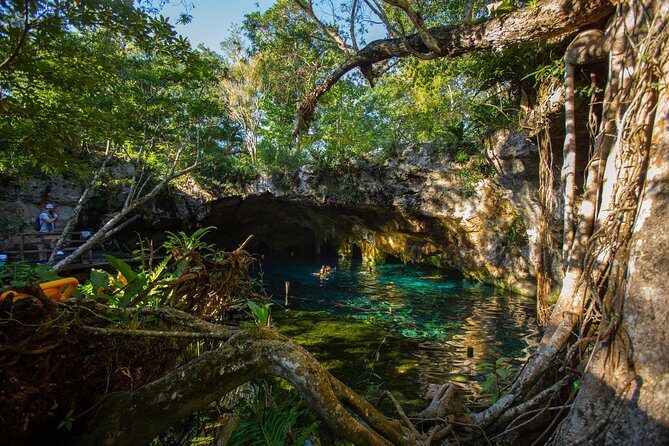 Cenotes trail jungle bike tour in Tulum with lunch - Jungle biking that actually feels like an escape