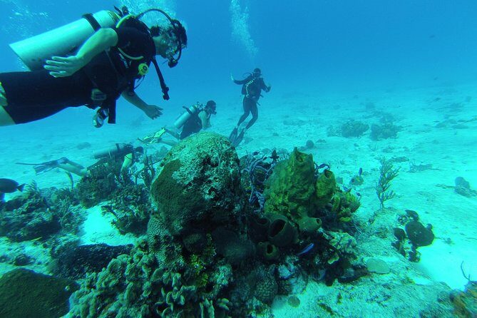 Chankanaab Cozumel Scuba Diving - Key Details That Matter Before You Go
