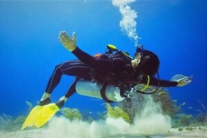 Chankanaab Cozumel Scuba Diving - The Training Moment: Gear, Safety Checks, and Calm Coaching