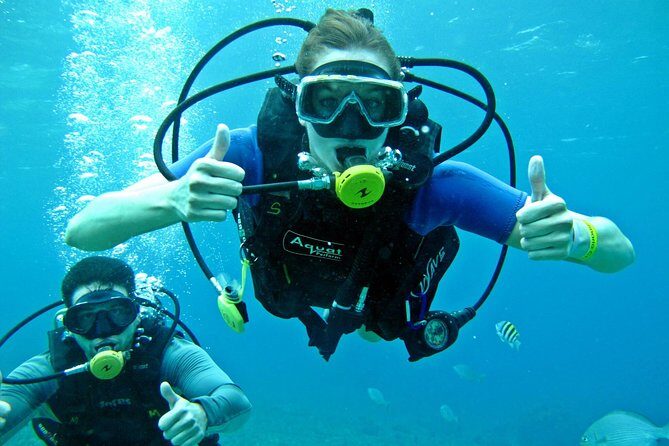 Chankanaab Cozumel Scuba Diving - Your Underwater Route: Reef Life, Statues, and an Ancient Cave