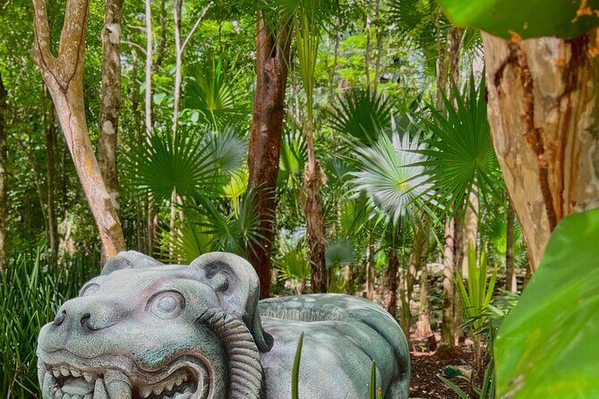 Chankanaab Park Admission + Snorkeling - Price and Extras: What the $39 Ticket Really Covers
