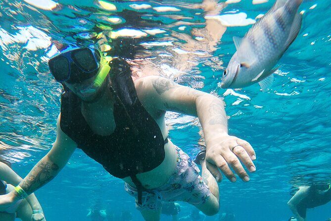 Chankanaab Park Admission + Snorkeling - Should You Book Chankanaab Park Admission + Snorkeling?