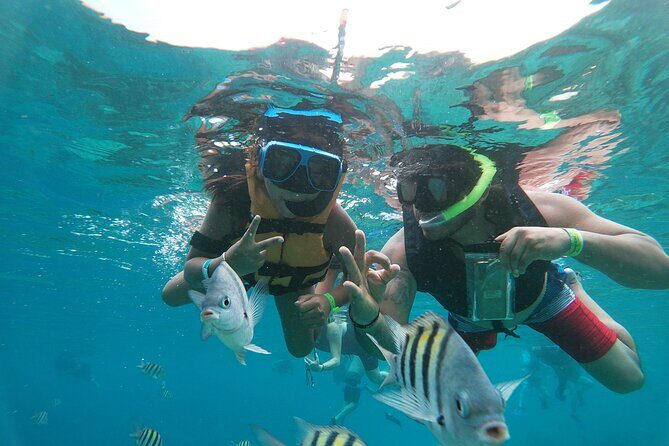 Chankanaab Park Admission + Snorkeling - How the 3-Hour Flow Keeps You Moving (Adventure Beach to Reef)