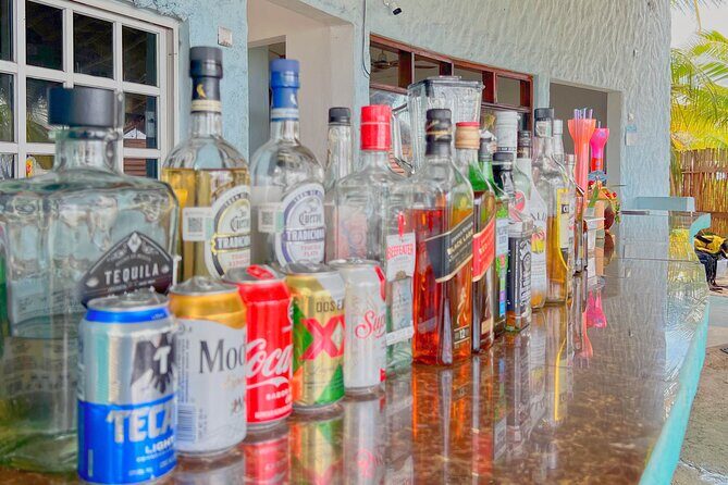 Chankanab Park Admission +Open bar +Lunch included +Snorkeling - Open bar and tequila tasting: the fun part, with a small menu reality check
